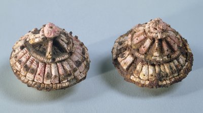 Borchie da un morso di cavallo, da Chalons-sur-Marne, Tene I (475-300 a.C.) da Gaulish